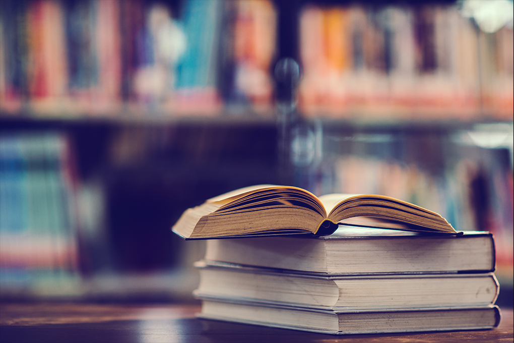 LIVRES FORMAT MODELE SITE