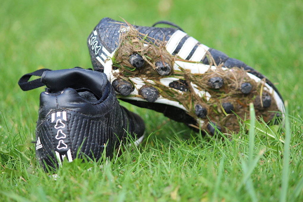SPORT RUGBY SITE