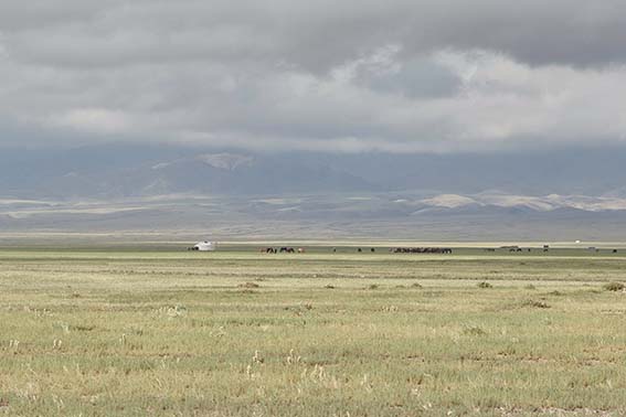 Mongolia 003 SITE