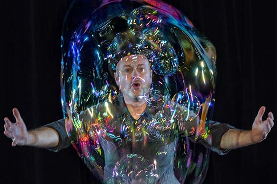 curiositas bubble SITE
