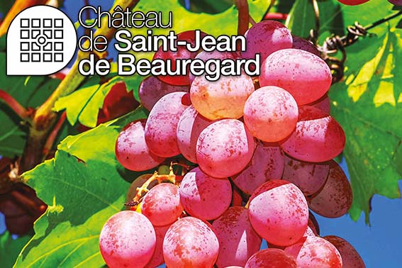 fete plantes SITE