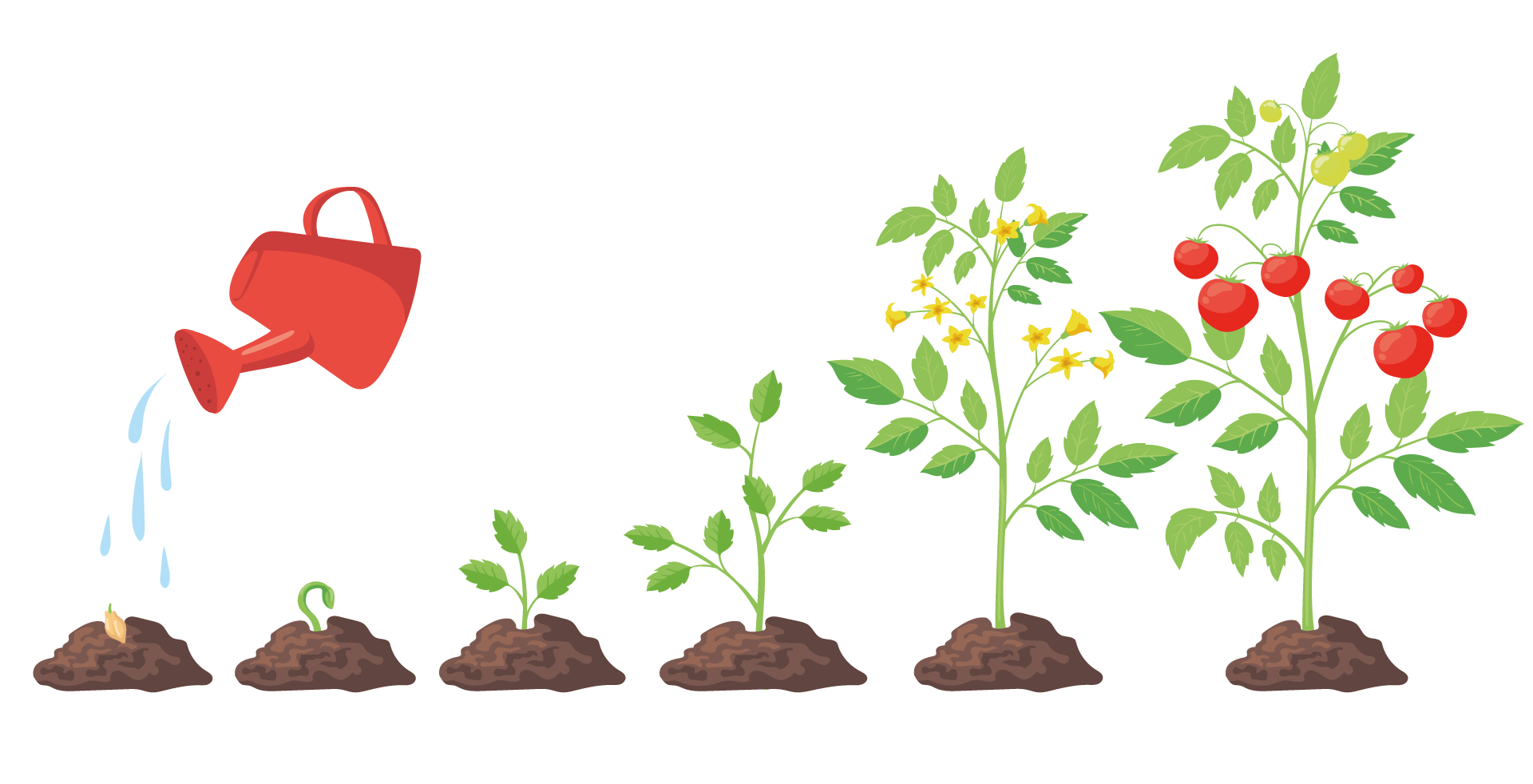 Cycle plant