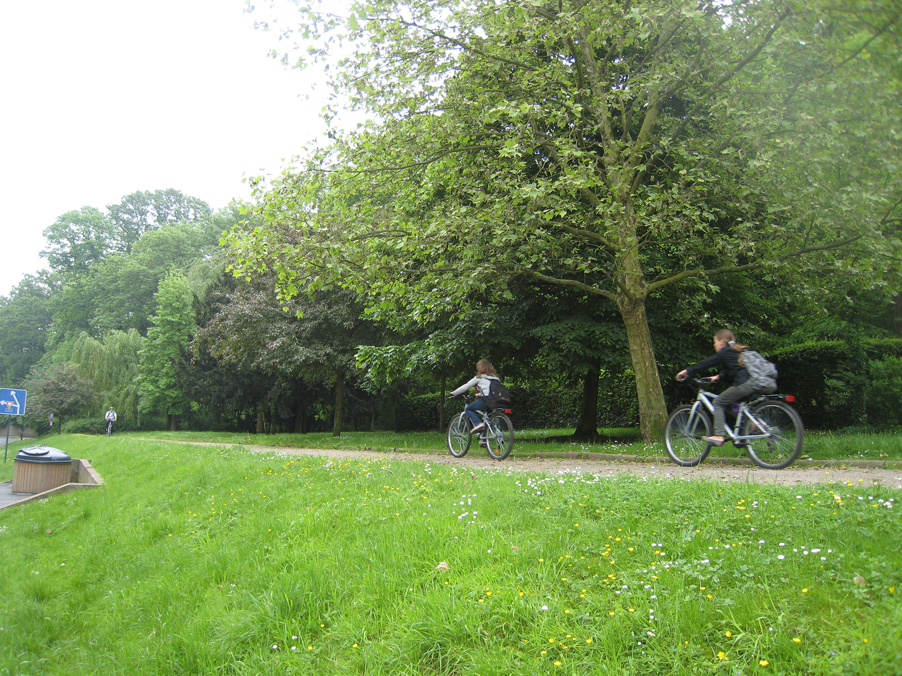 Promenade à vélo aux abords de la rue de paris à Orsay