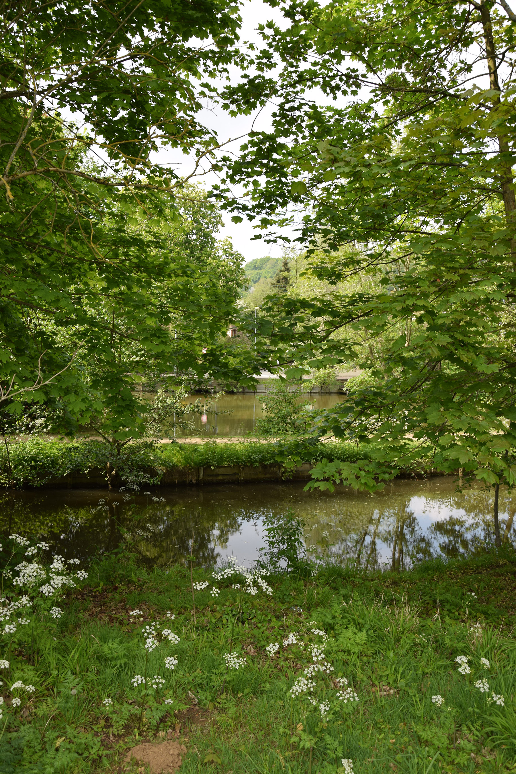 Balade en bord d'Yvette nature au niveau du lac de Lozère à Orsay