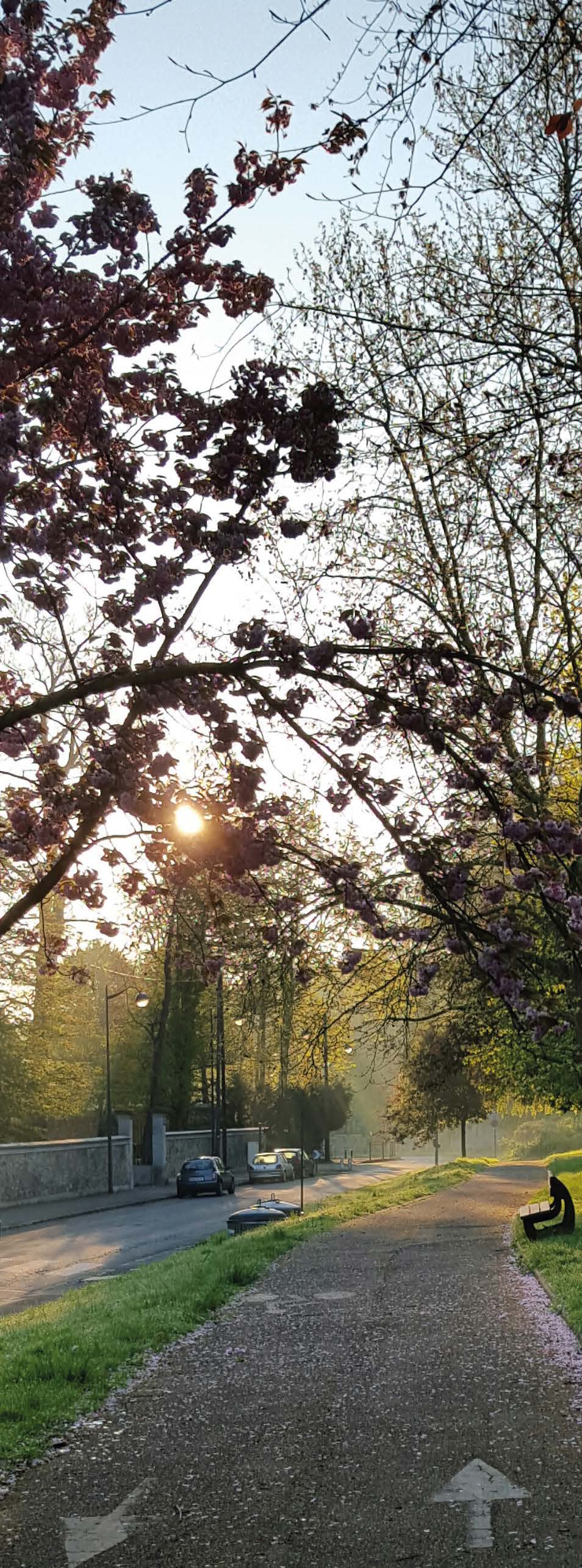 promenade leconte de lisle