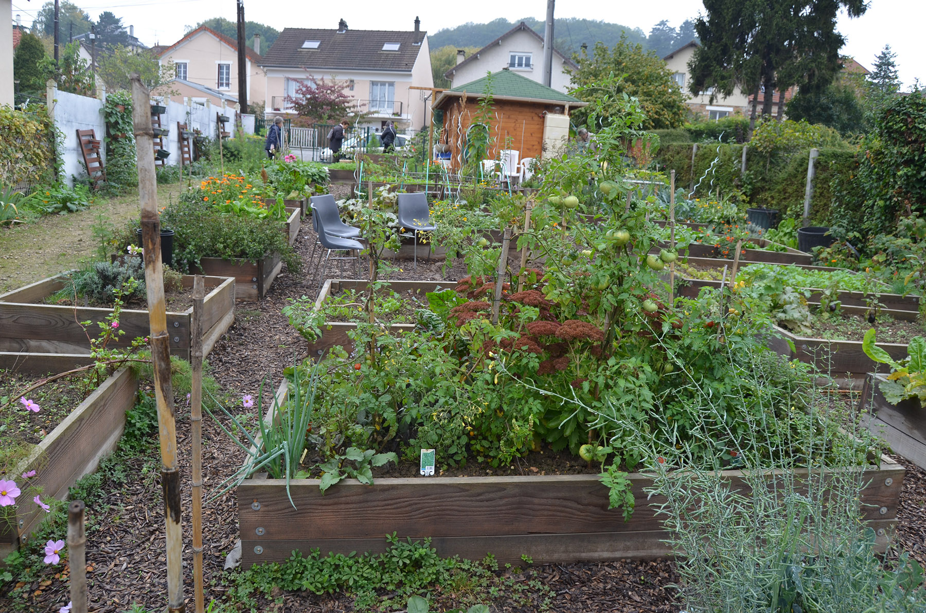 Le Jardin Partagé d'Orsay