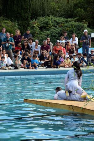 Deux coulent  trois flottent  11 