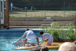 Deux coulent  trois flottent  14 