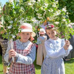 Fete fleurs2019  100 