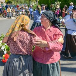 Fete fleurs2019  285 