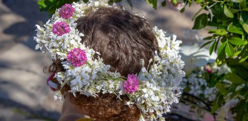 Fete fleurs2019  319 