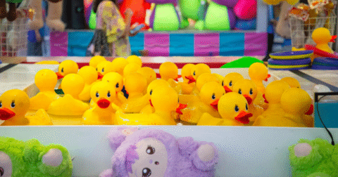 Canards en plastique